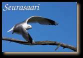 seurasaari